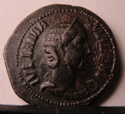 Severan-Fourree-Denarius?