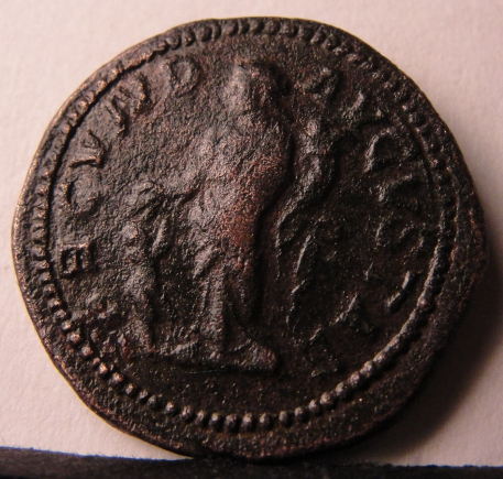 Severan-Fourree-Denarius?