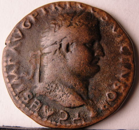 Titus-Bronze