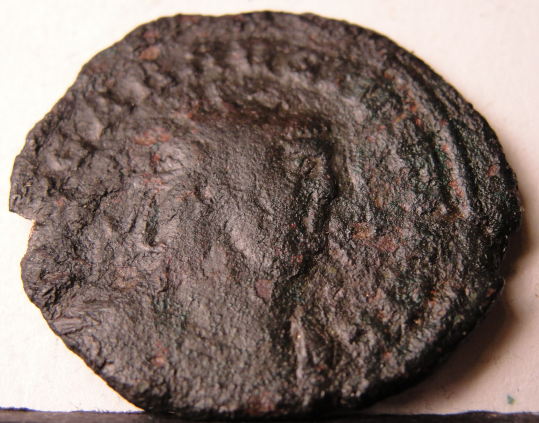 Carausius