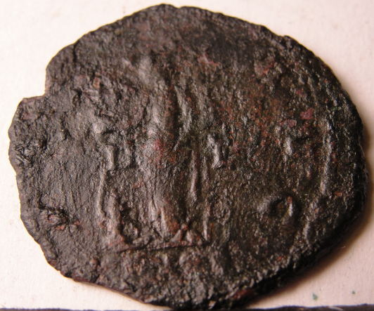 Carausius