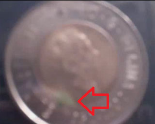 Green-Stain-On-Toonie
