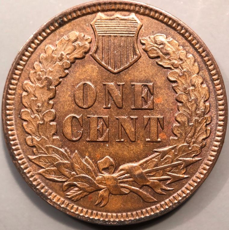 1892-Indian-Head-Cent--MS-?-Submitting-To-PCGS!-Thanks-For-The-Help