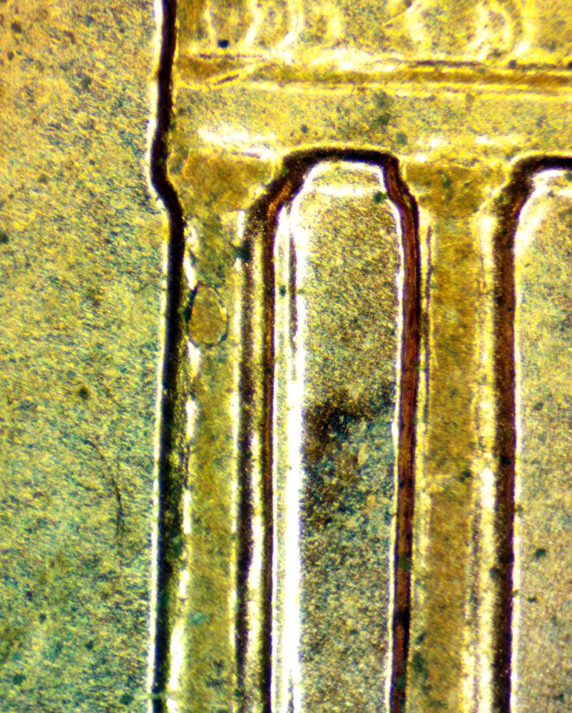 2008-D-DDR001-1-R-VIII-?
