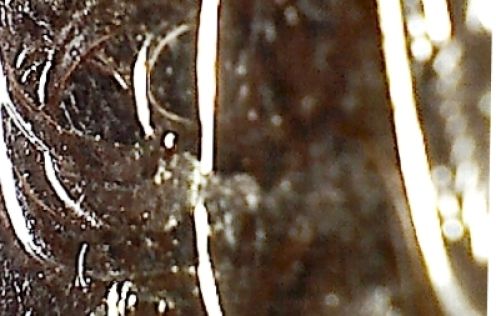 2012-Fifty-Cent-Cud-On-Roos-Backside