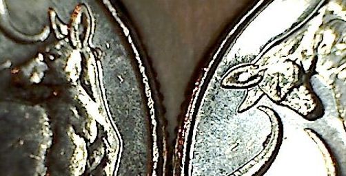 2011-Mob-Of-Roos-$1-Cud