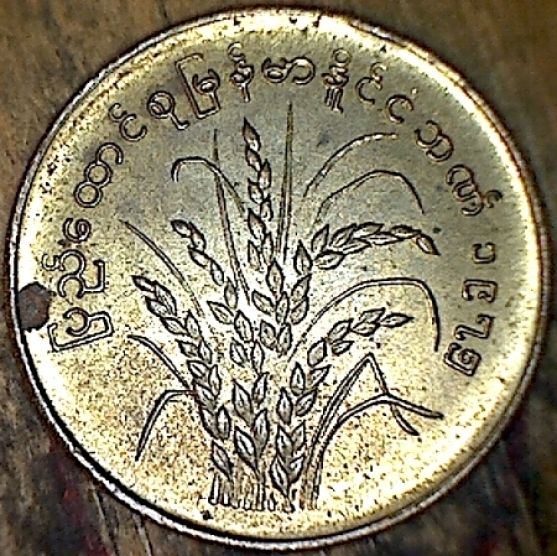 Wheat-Stalks?-|-Burma-50-Pyas