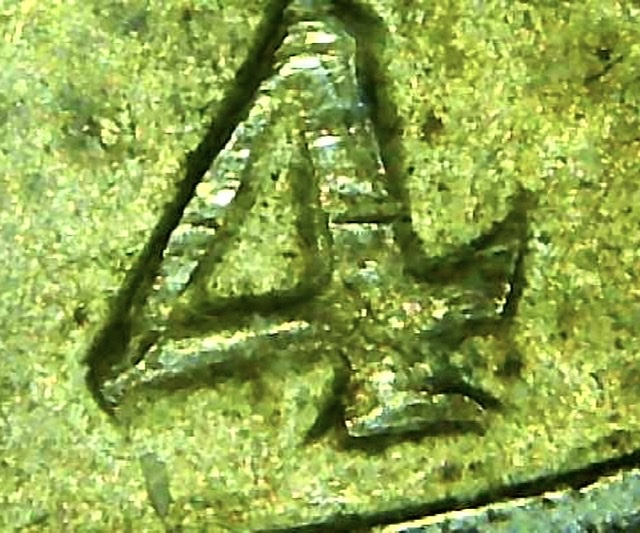 Identify1964-SMS-Kennedy