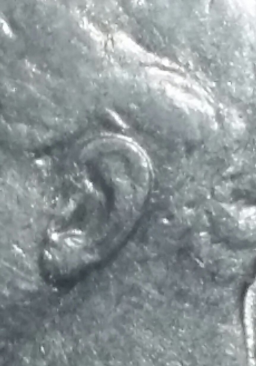 1981-3/P-Dime-And-Heavy-Double-Die-On-Rev./Obv.