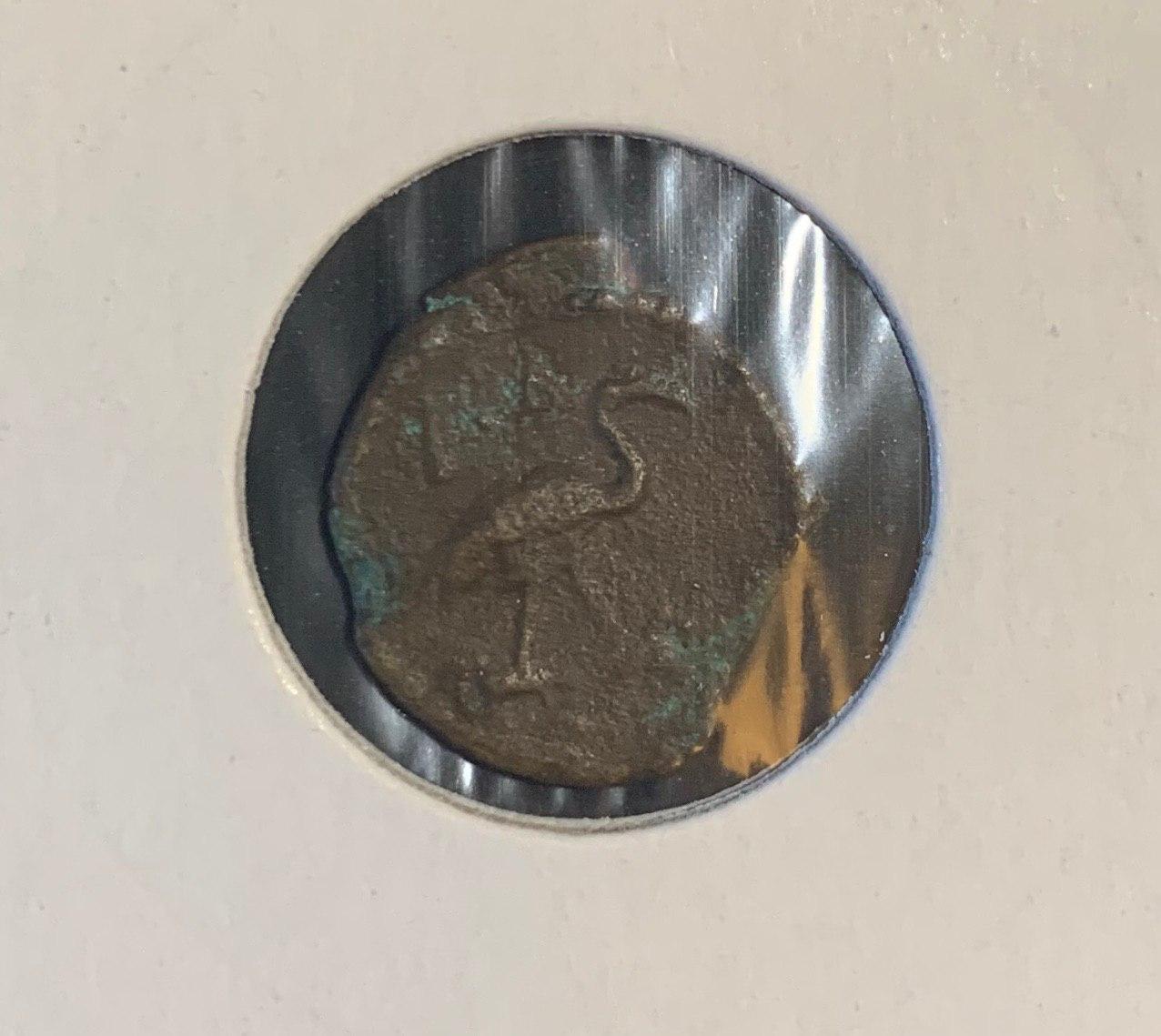 I-Need-Your-Professional-Help-In-Identification-Of-13-Different-Coins