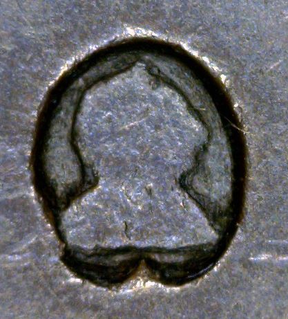 What-Was-The-First-US-Coin-With-A-Real-Person-On-It?