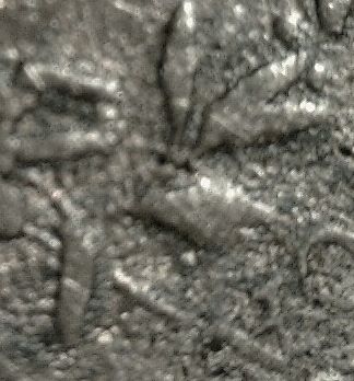 Looking-For-Help,-Pegging-The-Variety-Of-This-Apparent-1794-Large-Cent