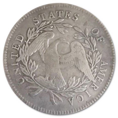 1795-Free-Flowing-Dollar---Fake-Or-Real?