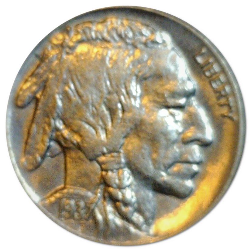 1937-D-Buffalo-Nickel-Find