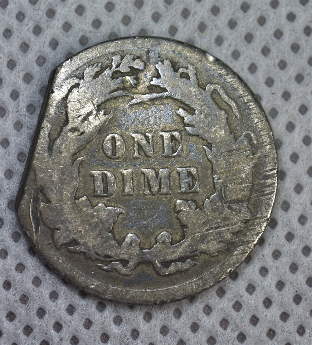 Clipped-1878-Sitting-Lib-Dime-Or-PMD?