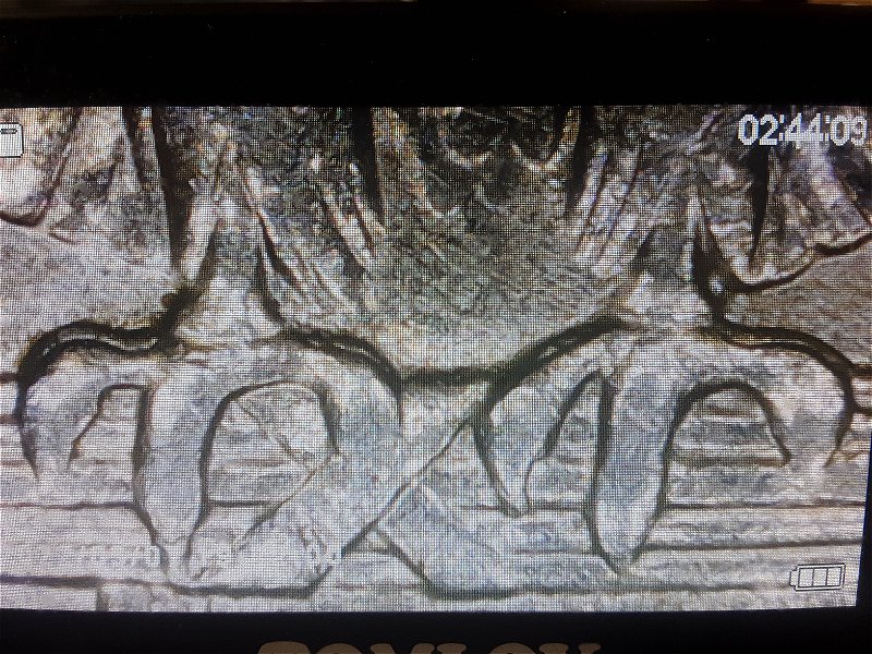 1995-D-Quarter-MD-Or-DDR?