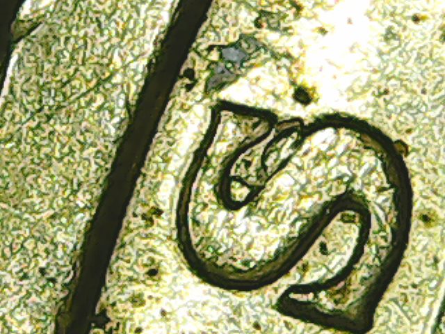 Quincy-Adams-Dollar-Error?-2008