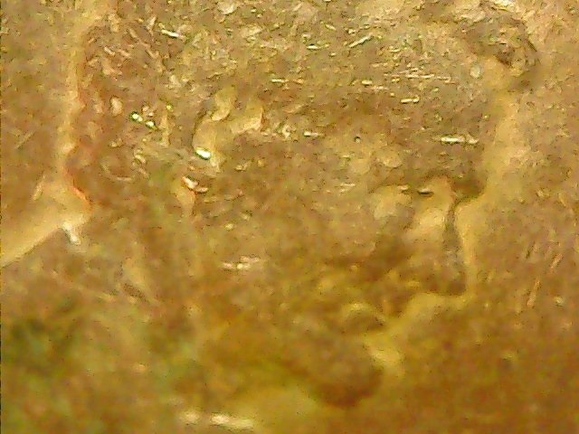 1944-Lincoln-Error?-Please-Help