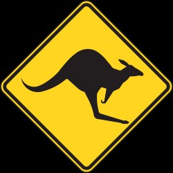 Ram's-Big-Bull's