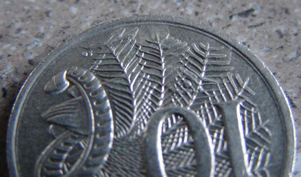 Noodling-Find-Of-The-Week?