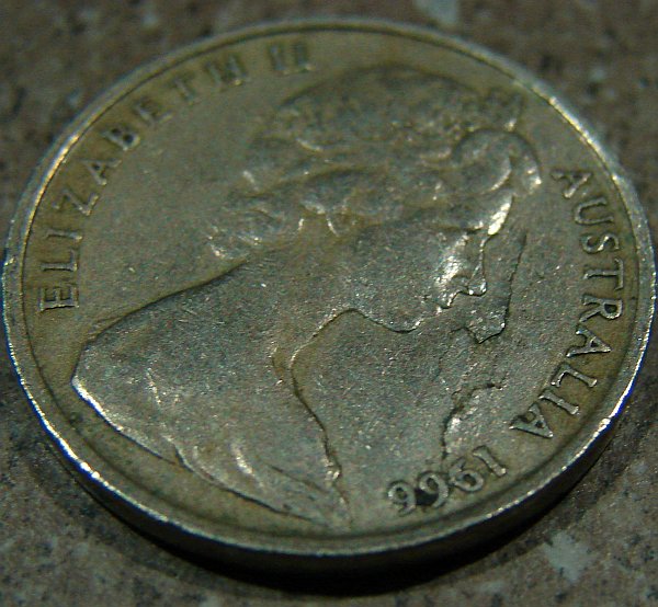 Noodling-Find-Of-The-Week?