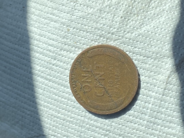 1919-Wheat-Penny-Reverse-Error?