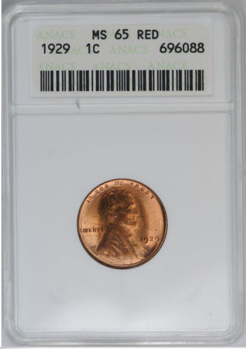 1929-Lincoln-Cent-You-Vs.-ANACSOld-White-Slab