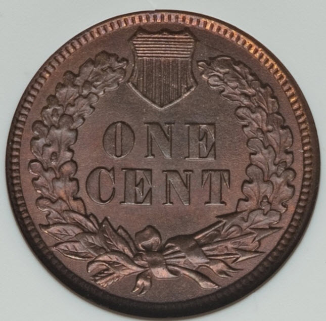 1898-Indian-Cent-You-Vs.-ANACS-Old-White-Slab