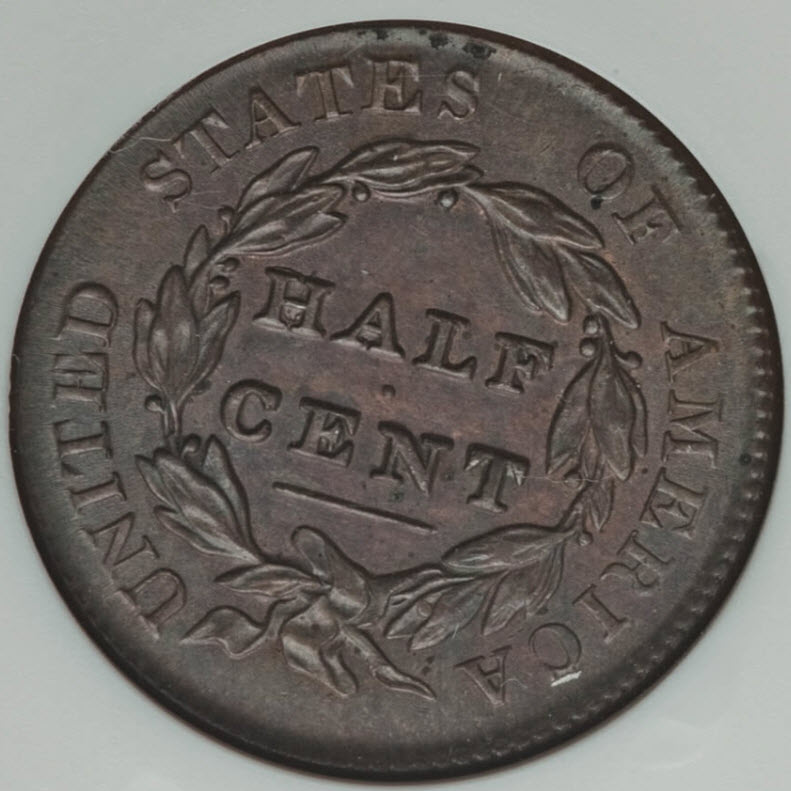 1829-Half-Cent-You-Vs-ANACSOld-White-Holder