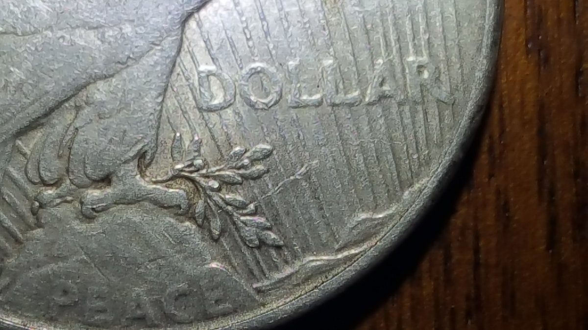 1923-S-Peace-Dollar-Extra-Ray-Wrong-Way?-Ideas?