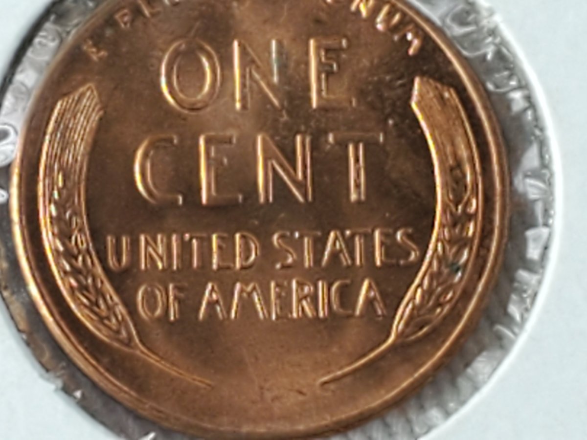 1958-D-Lincoln-Wheat-Cent.-Doubling-On-Pluribus?