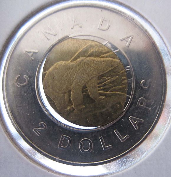 1996-Multiple-Error-Toonie
