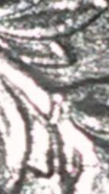 1998-P-Quarter,-Looks-Like-It-Has-Doubling