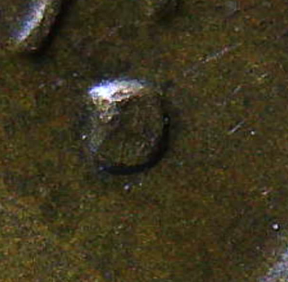 Is-This-A-D-Over-S-1976-Penny?