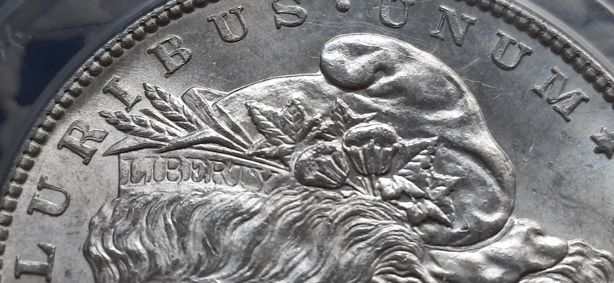 1878-S-Morgan-Dollar-VAM-6-DDO.-What-Grade-Would-You-Give?