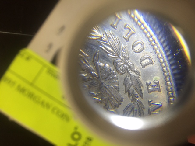 1895-No-Mint-Mark,-Opinions-Please