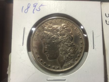 1895-No-Mint-Mark,-Opinions-Please