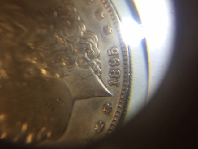 1895-No-Mint-Mark,-Opinions-Please