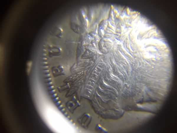 1895-No-Mint-Mark,-Opinions-Please