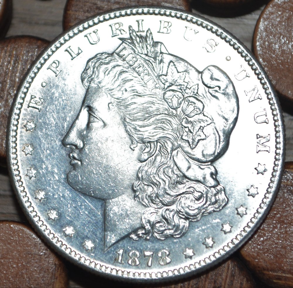 1878-S-Morgan---Should-I-Get-It-Graded?