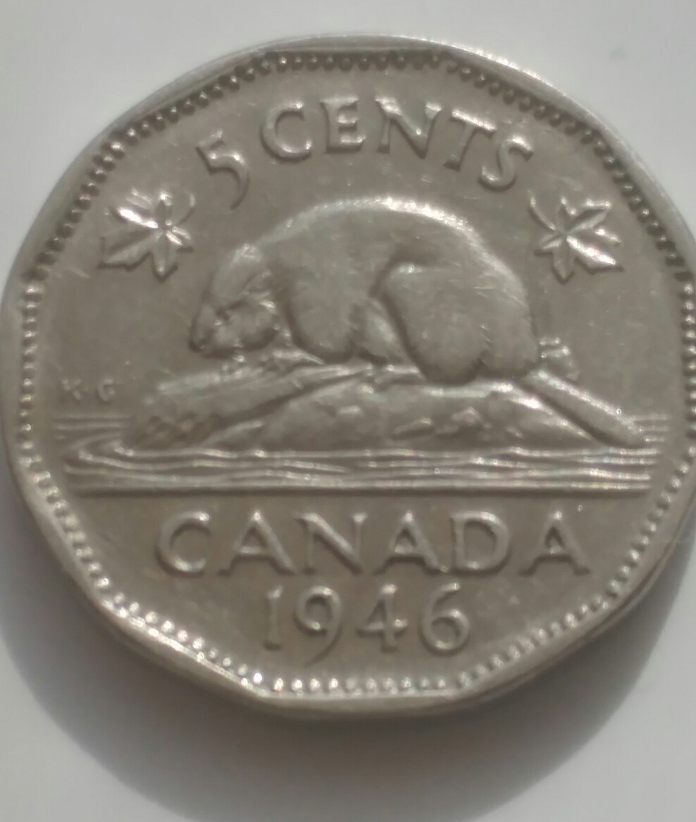 0.05-Variety-Cool-Findings-In-One-Roll