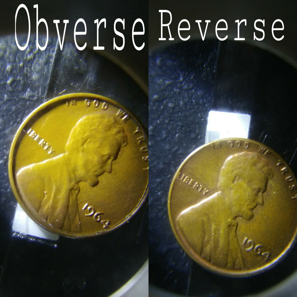 Pretty-Cool-Varieties-Copper-Pennies