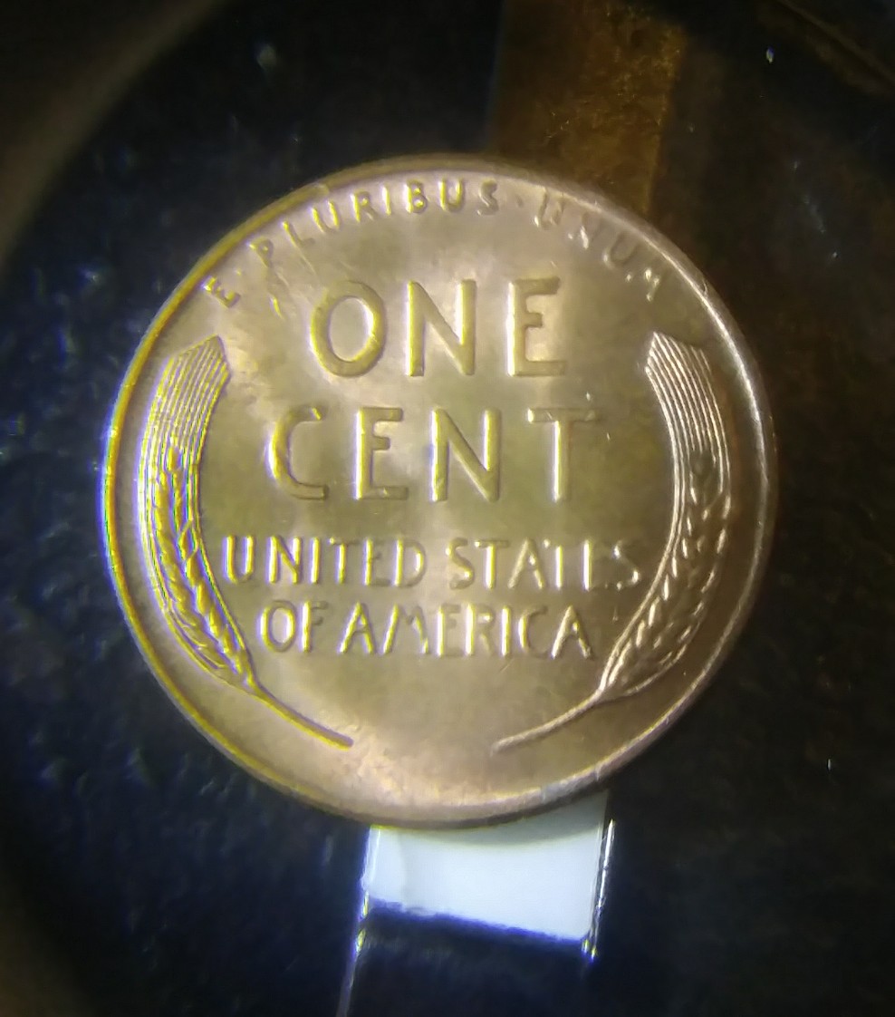 Pretty-Cool-Varieties-Copper-Pennies