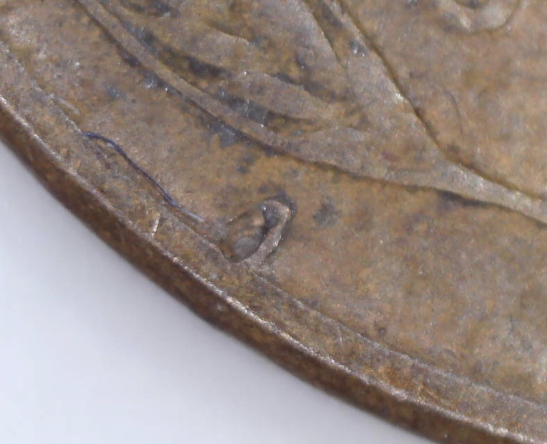 1929-D-Wheat-Penny-Multiple-Questions