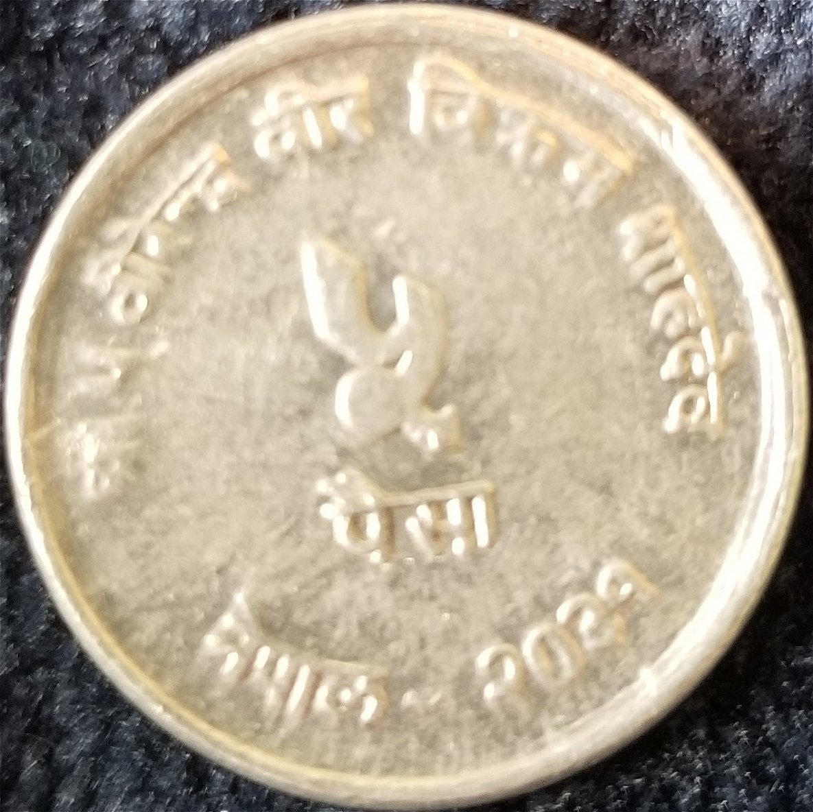 I-Need-Help-Identifying-This-Little-Guy.-Id:-Nepal,-5-Paisa