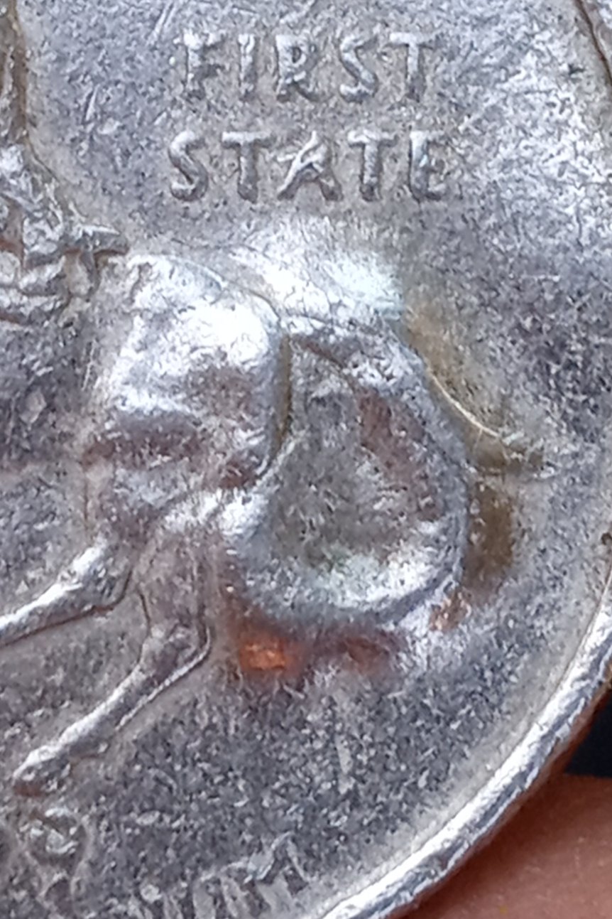 1999-Delaware-Quarter-Not-Sure-What-To-Call-It-?