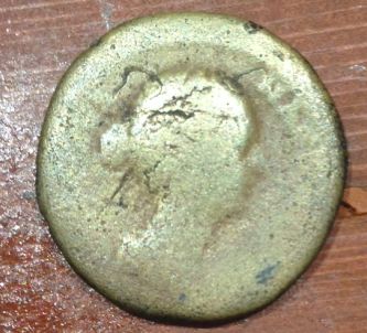 Identification-Help-Needed