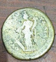Identification-Help-Needed