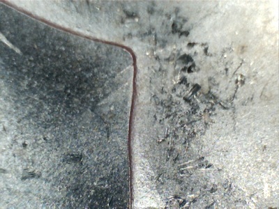 1882-CC-Morgan-Dollar-VAM?