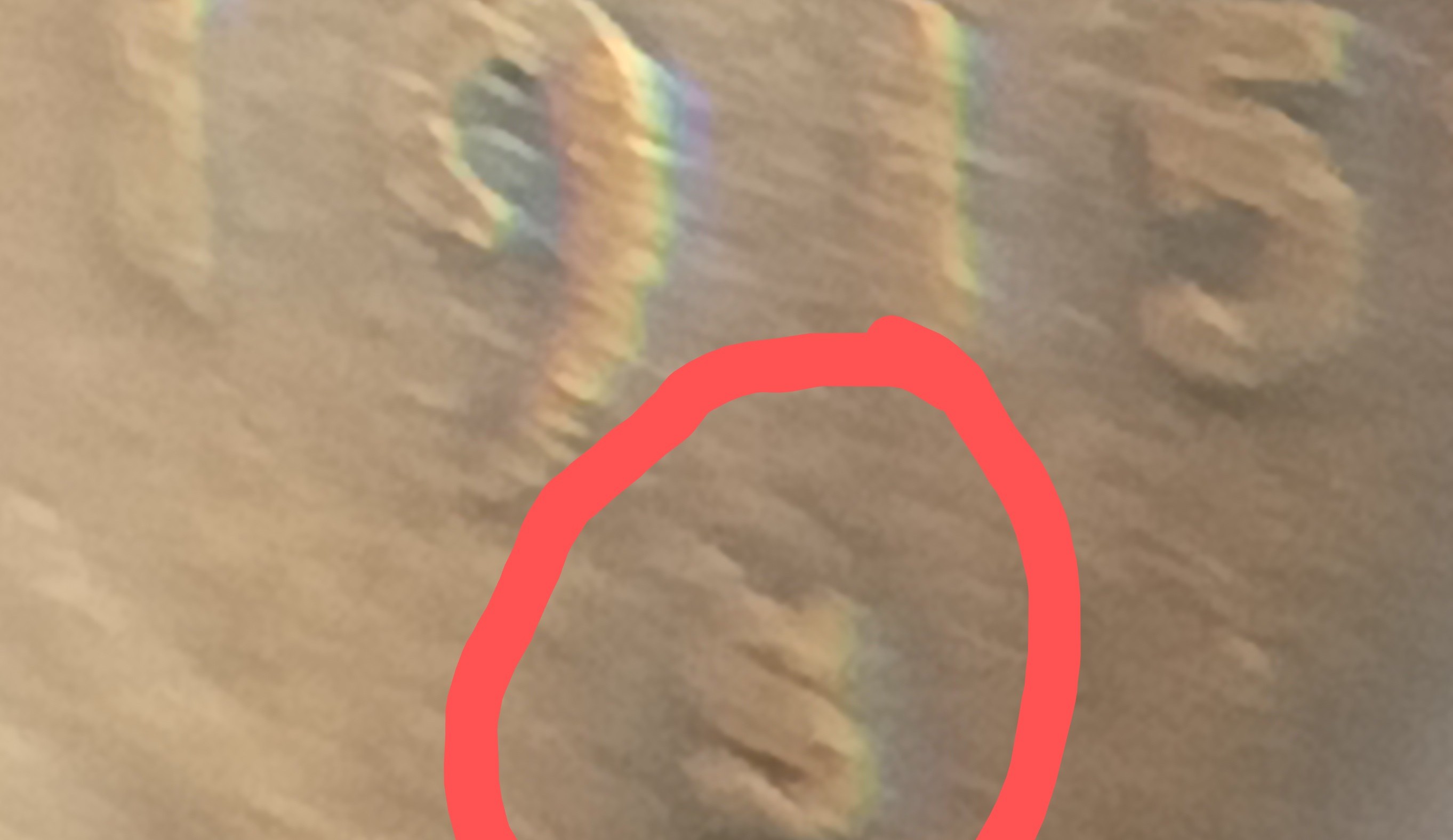 Is-This-Possibly-A-1915-S/S-Lincoln-Wheat-Cent?
